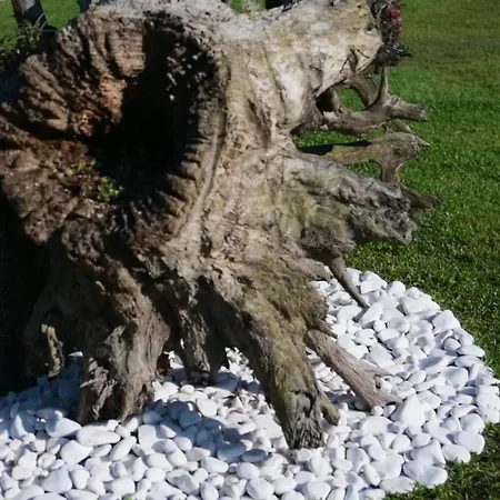 Funileiro, E Quartos Gasthof *