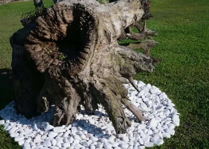 Funileiro, E Quartos Vendégház *