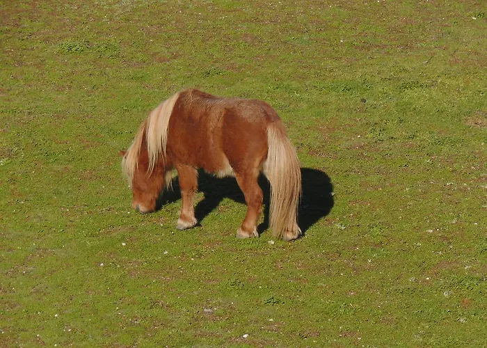 Vendégház Funileiro, E Quartos